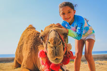 Camel Ride Los Cabos