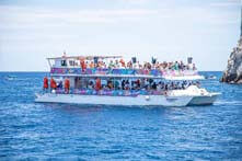 Excursion con cena al atardecer y barra libre en Cabo San Lucas